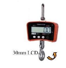 Crane Scale